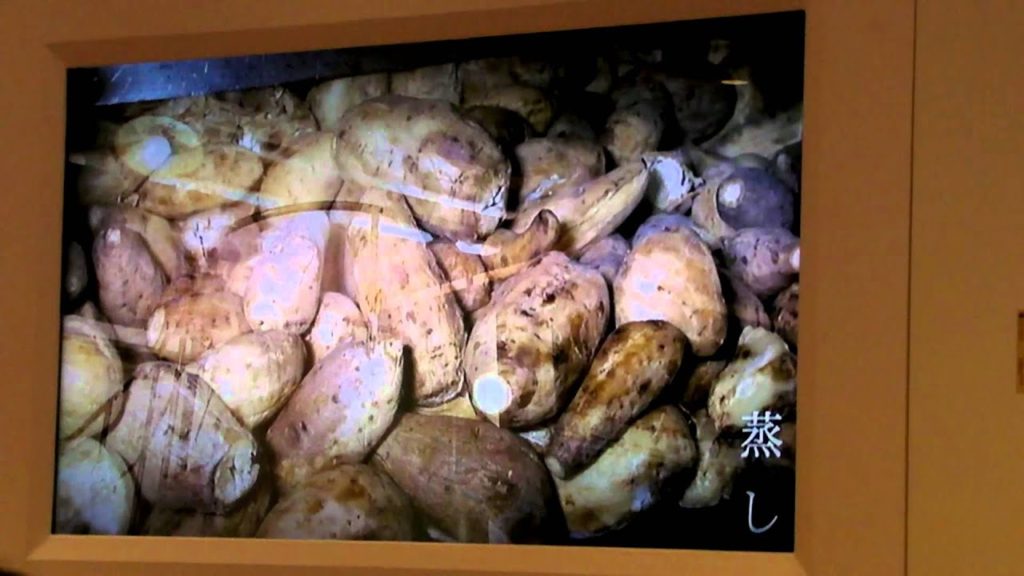 Visiting a Shochu distilley, Kagoshima, Japan