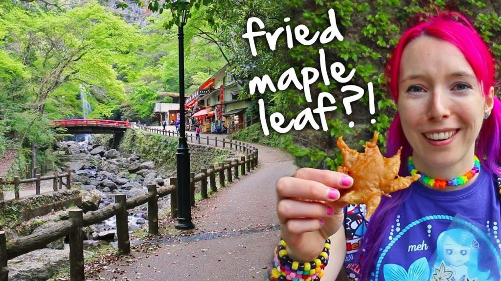 BEAUTIFUL WATERFALL in Japan, Minoo Park, Osaka (Minoh Park)