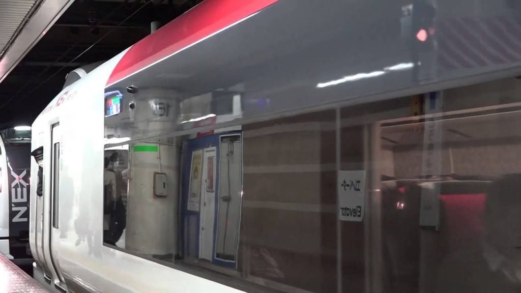 Narita Express separates to Yokohama & Shinjuku at Tokyo Station