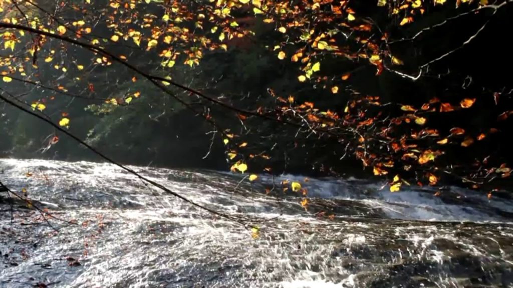 Autumn leaves in Yoro Valley, Chiba Prefecture [HD] [with map]