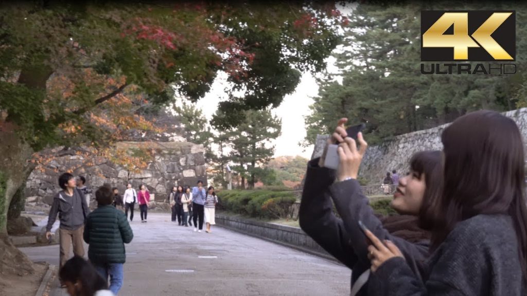 Rubah Warna Daun Musim Gugur – Autumn Colours Momiji in Nagoya Castle 紅葉 4K Rubah Warna Daun Musim Gugur - Autumn Colours Momiji in Nagoya Castle 紅葉 4K