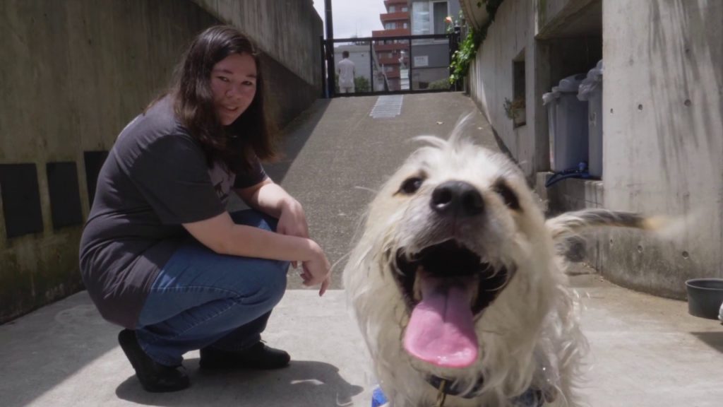 How to Bring Your Pet Dog to Japan