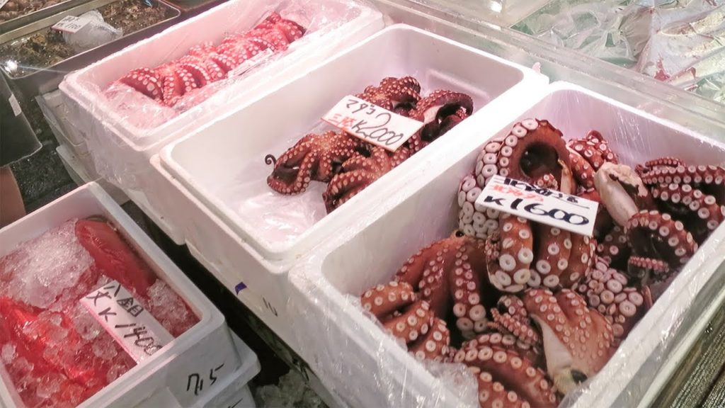Exploring Japan's Tsukiji Fish Market!