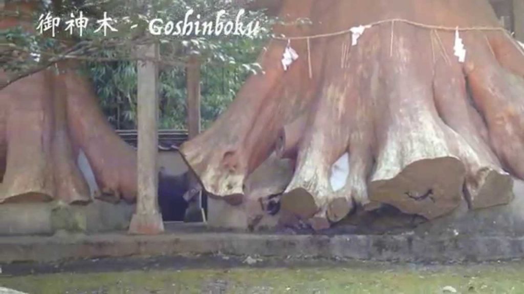 Yufuin & Yunohira hot springs