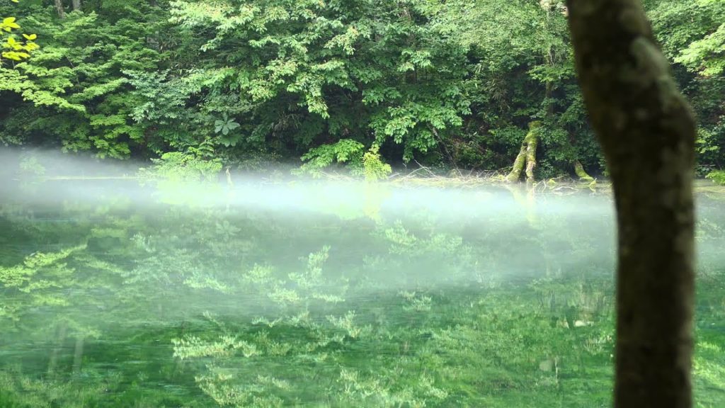 【NIIGATA-SORADORI】龍ヶ窪　清水出でる神秘の地　津南町