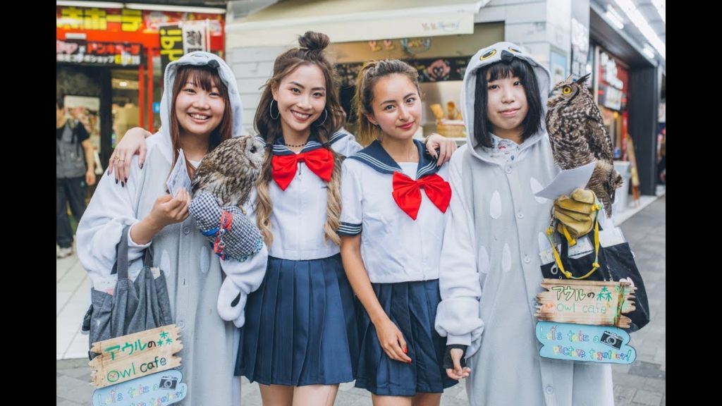 SONIA and JULIA cosplay? Now, that's HOOT! WING IT! Tokyo SONIA and JULIA cosplay? Now, that's HOOT! WING IT! Tokyo