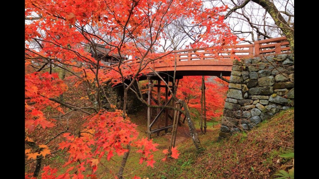 JG☆☆☆☆ 4K 長野 高遠城跡の紅葉 Nagano,Takato Castle in Autumn