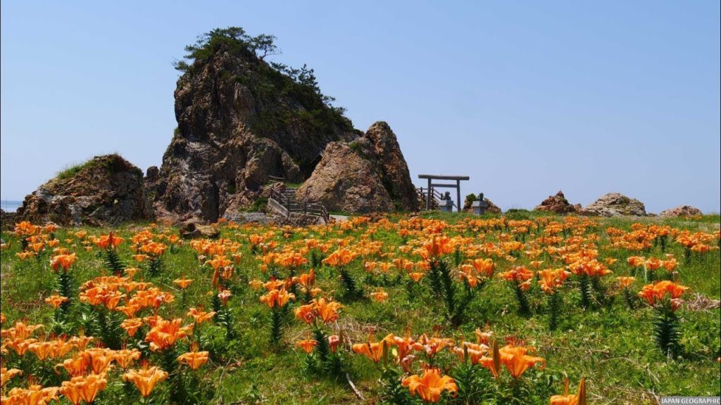JG HDR 新潟 佐渡 藻浦崎のイワユリ(ジオパーク) Niigata Sado Mourasaki Iwayuri(Geopark)