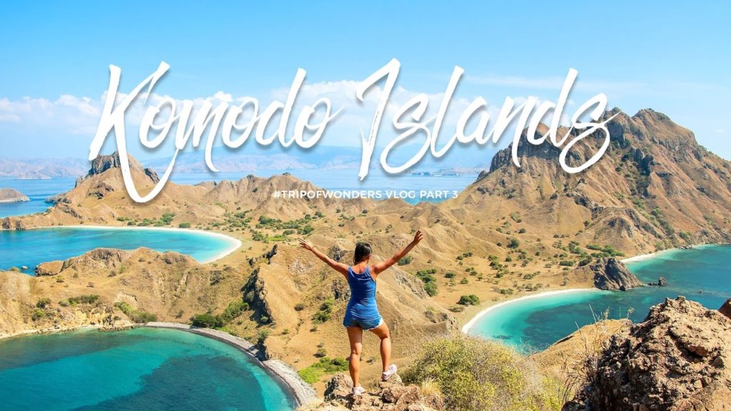 Up Close with Komodo Dragons! | Indonesia (Part 4)