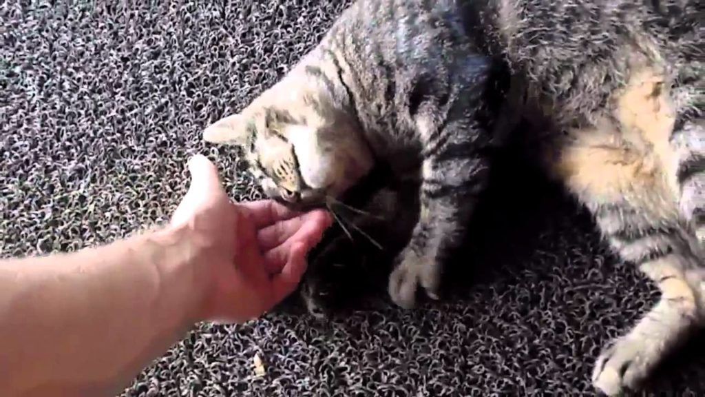 John In Japan Episode 7 Fun In Nagasaki John In Japan Episode 7 Fun In Nagasaki