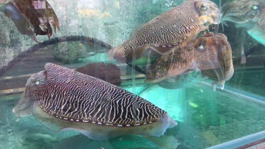 Seafood in Sai Kung, Hong Kong