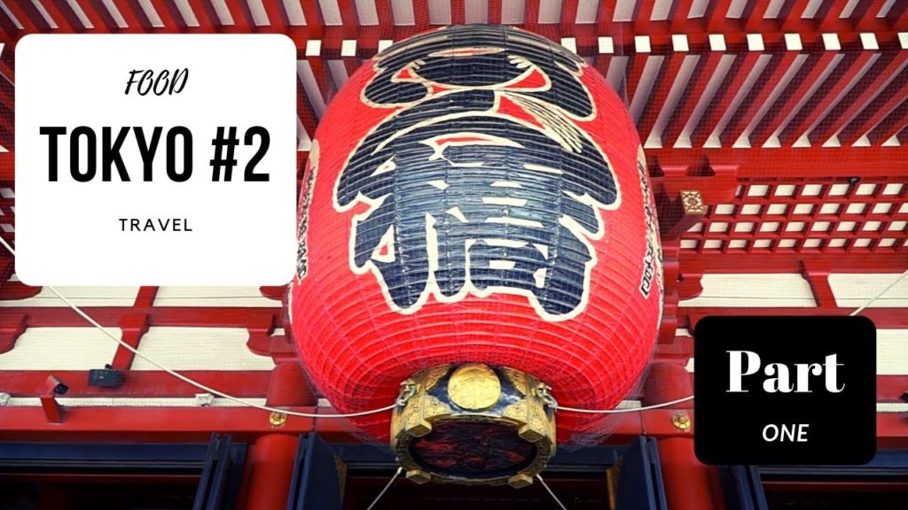JAPAN TRAVEL: TOKYO RETURN! Part #1 Day 19