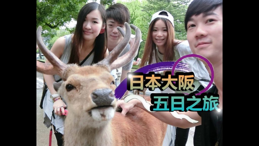 日本大阪Japan Osaka 旅遊自由行travel EP.4(奈良)摸鹿@ZAKI遊-Vlog 日本大阪Japan Osaka 旅遊自由行travel EP.4(奈良)摸鹿@ZAKI遊-Vlog