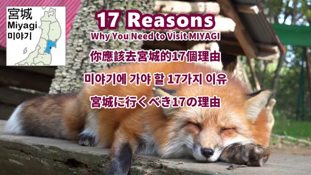 17 Reasons Why You Need to Visit MIYAGI - Drive@TOHOKU