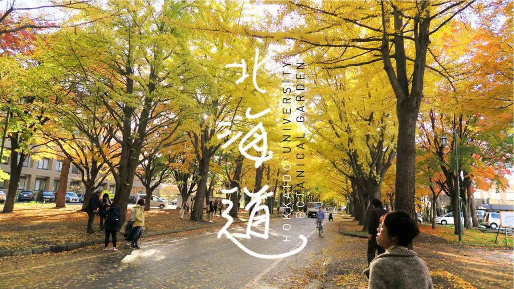 Hokkaido University Botanical Garden in Sapporo 🏫🍀🍁🌿🐛🍊🍃🍂