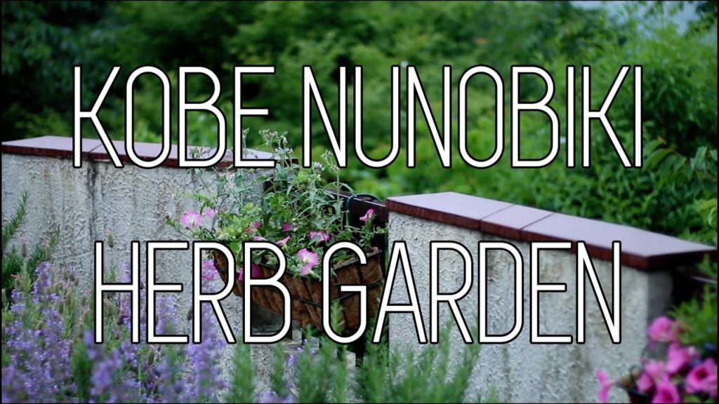 Kumokawa Explores | Kobe Nunobiki Herb Garden, Kobe Japan
