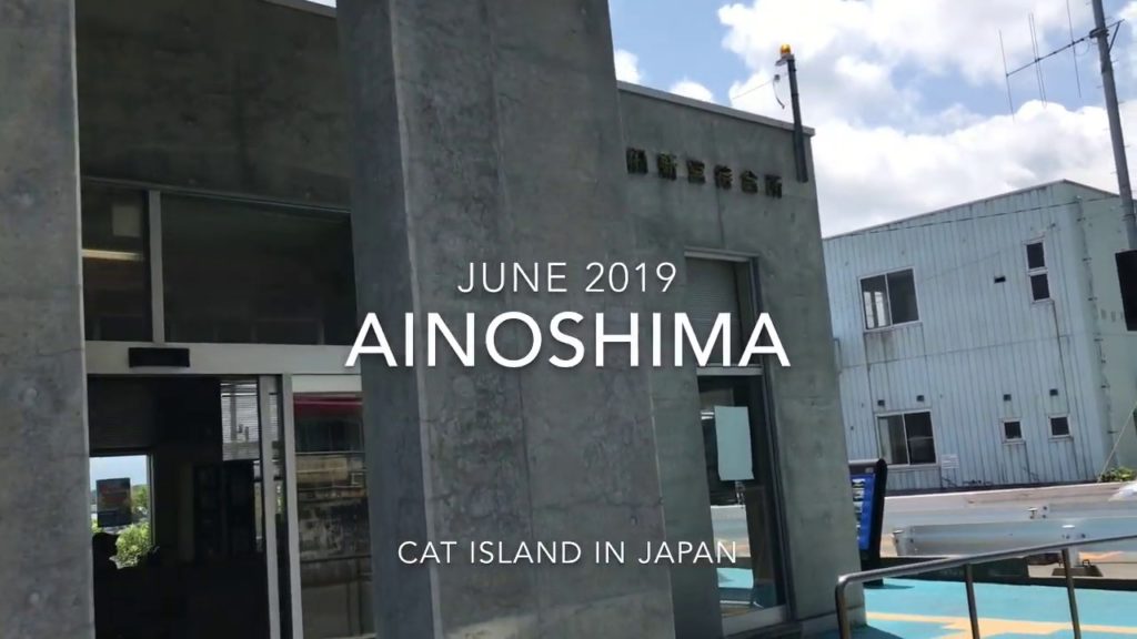 AINOSHIMA -Cat Island in Fukuoka Japan AINOSHIMA