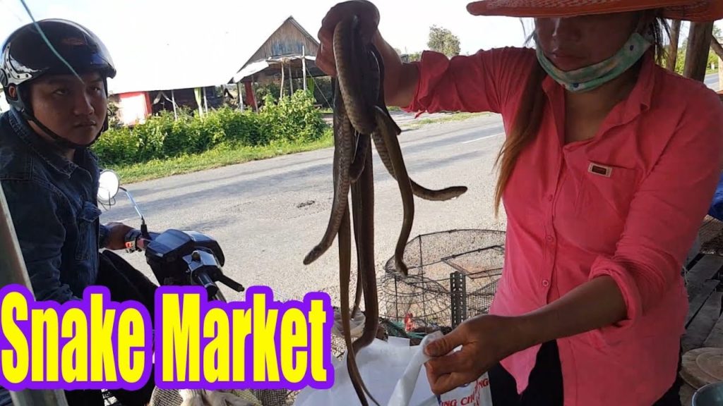 Asian Street Food Market - Vietnam Snake Market - Ran Chuot Dong Mien Tay