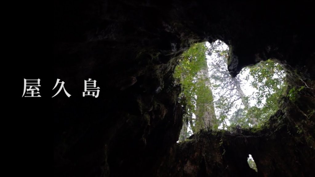 日本鹿兒島縣：屋久島 Yakushima, Kagoshima, Japan · Will Cho