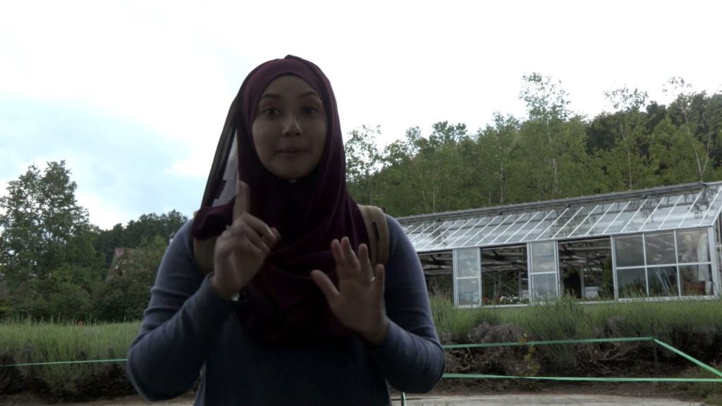 Rasa Halal Hokkaido Musim Panas Eps 5