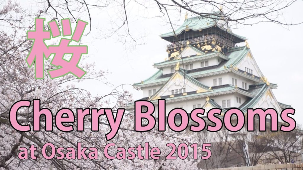 Japan Travel: Cherry Blossom Viewing: Sakura: Japan travel Guide in Osaka