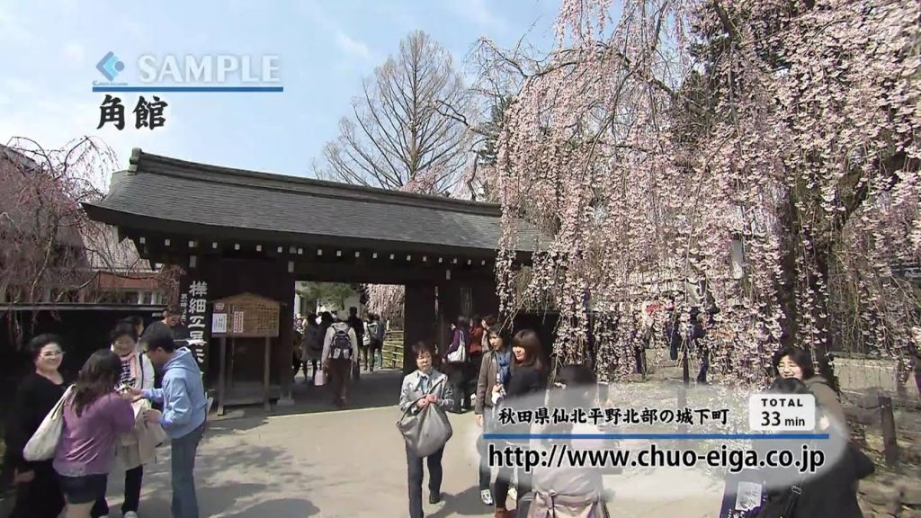 【HD】Kakunodate, Akita (Cherry Blossoms/ SAKURA) | 角館 ~仙北平野北部の城下町~ (桜) 【HD】Kakunodate, Akita (Cherry Blossoms/ SAKURA) | 角館 ~仙北平野北部の城下町~ (桜)