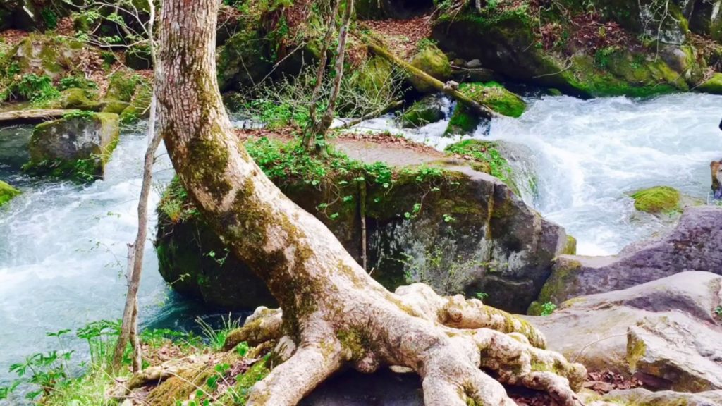 奥入瀬渓流 JAPAN Oirase Keiryu in Aomori stunning Landscape