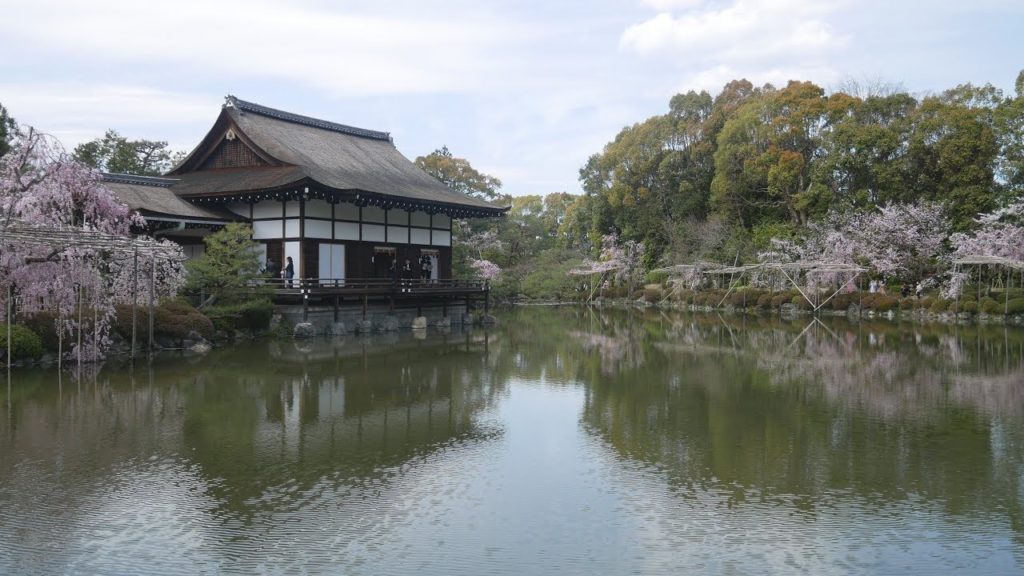 [4k] 京都の平安神宮の桜、入場料600円
