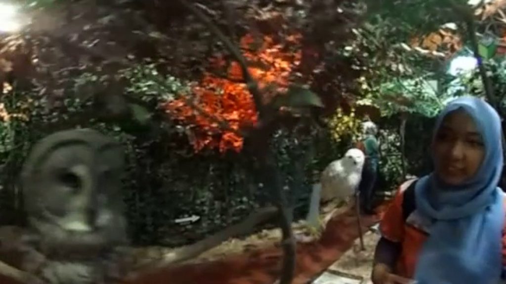 Nagasaki - Huis Ten Bosch (Taman Burung Hantu)