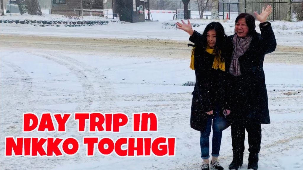TOCHIGI JAPAN 2019: Nikko day trip from Tokyo | Snow in Tochigi