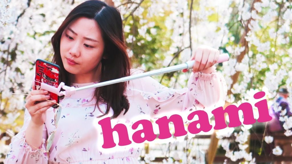 KYOTO CHERRY BLOSSOM SEASON 2018 | HANAMI & SAKURA IN JAPAN KYOTO CHERRY BLOSSOM SEASON 2018 | HANAMI & SAKURA IN JAPAN