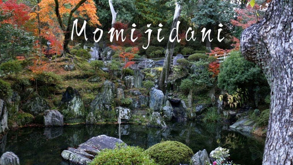 紅葉渓庭園 和歌山城 うろうろ和歌山 Japanese garden Wakayama castle