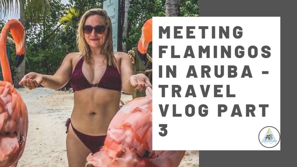 Meeting Flamingos in Aruba | Travel Vlog Part 3 | Annie Bean Meeting Flamingos in Aruba | Travel Vlog Part 3 | Annie Bean