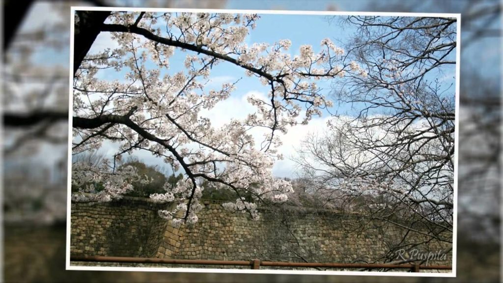 Top 10 Travel Destinations in Osaka Japan Top 10 Travel Destinations in Osaka Japan