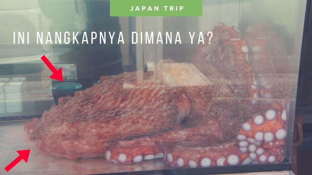 Ketemu Kepiting Raksasa Dan Gurita Raksasa Di Pasar Ikan Hakodate Di Jepang