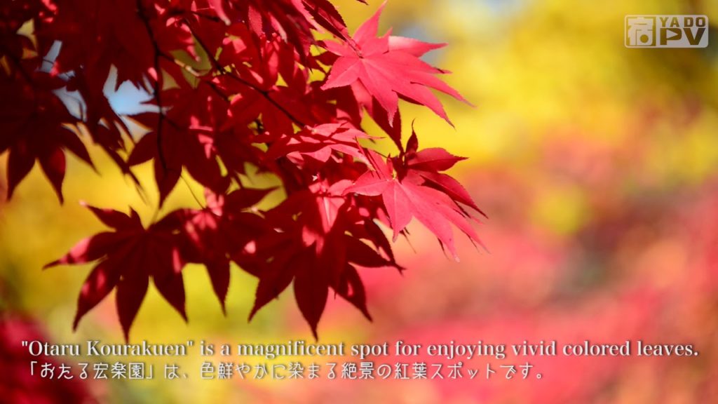 “OTARU KOURAKUEN” YADO PV/JAPAN : 宿PV おたる宏楽園04 “OTARU KOURAKUEN” YADO PV/JAPAN : 宿PV おたる宏楽園04