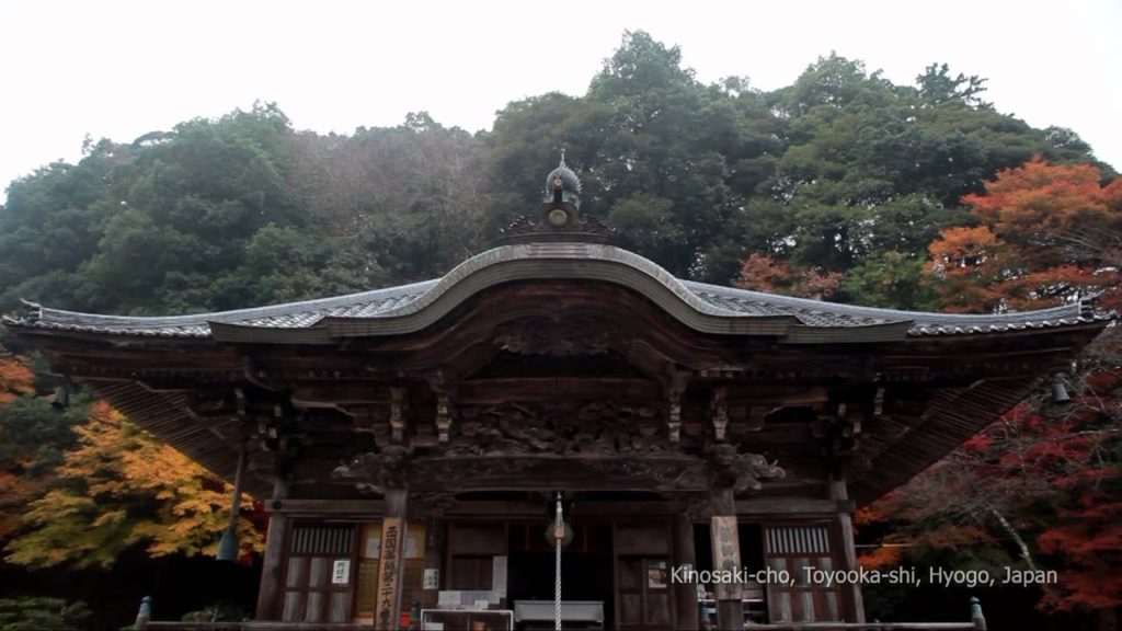 A sketch of KINOSAKI(Short)