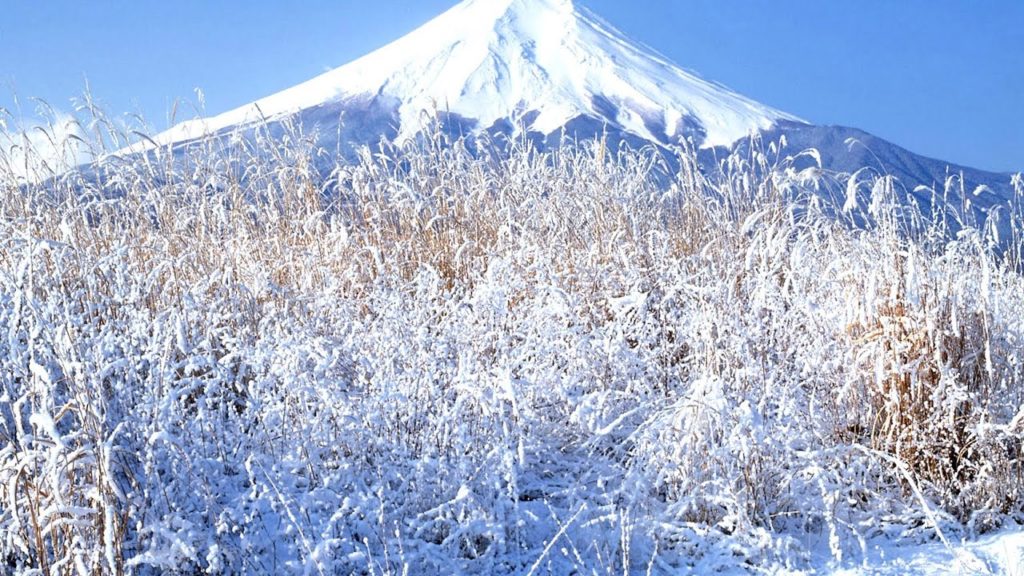 618. Let it snow w Sendai - Japonia