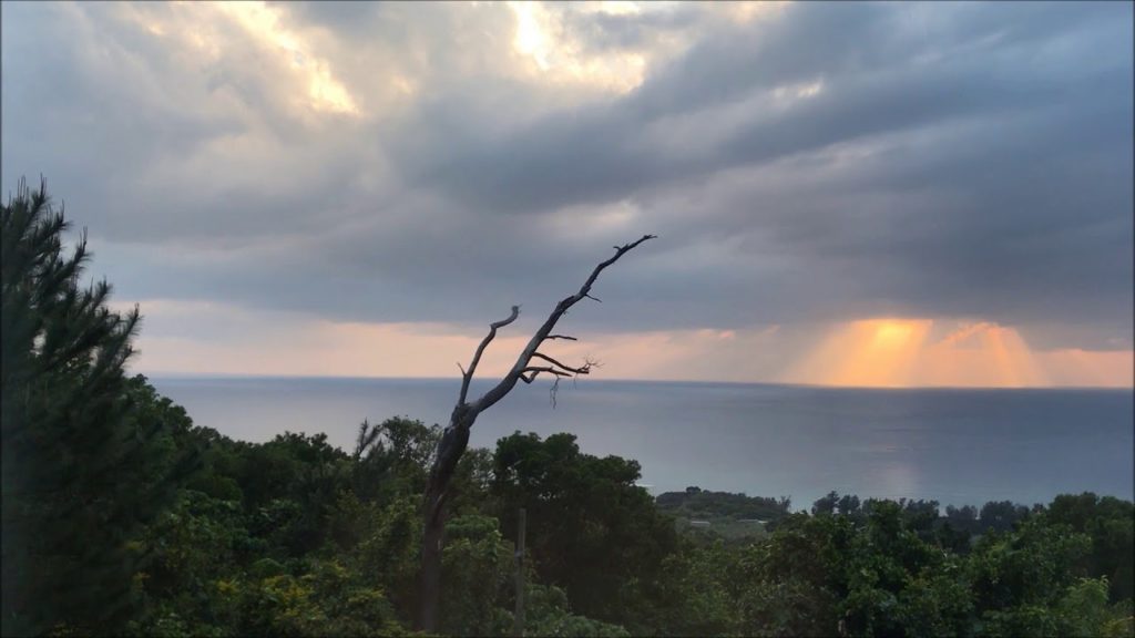 週末別荘生活を沖縄で。Airbnbで体験する大人の休日│トラベルジェイピー