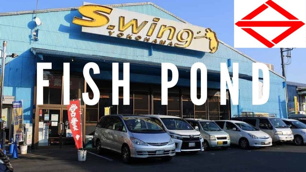 Fish Pond in Yokohama 2018