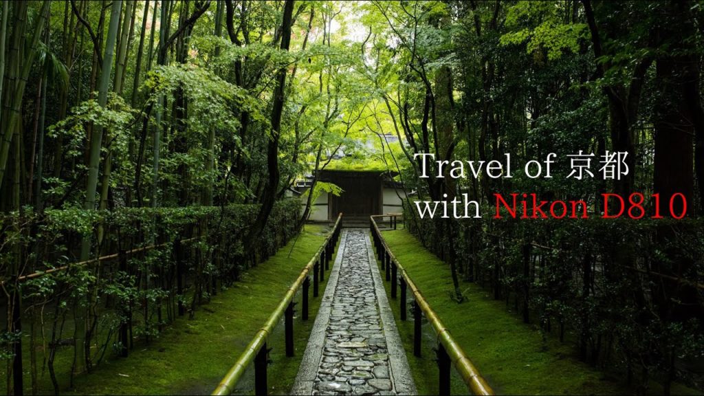 Travel of KYOTO with Nikon D810　～D810と行く単焦点の旅～