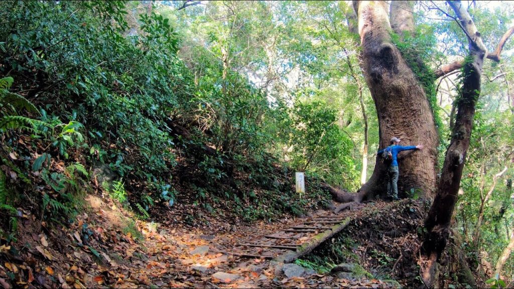 Mt. Tachibana 立花山登山 Hiking in Japan (Fukuoka) Mt. Tachibana 立花山登山 Hiking in Japan (Fukuoka)