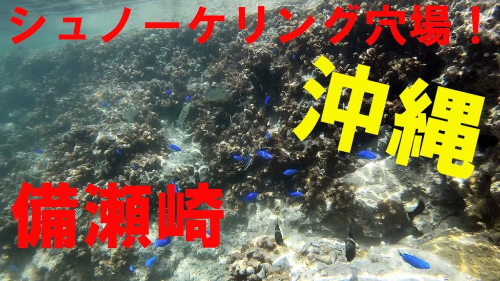 【沖縄旅行】　#シュノーケリング　#備瀬崎ビーチ　#okinawa travel