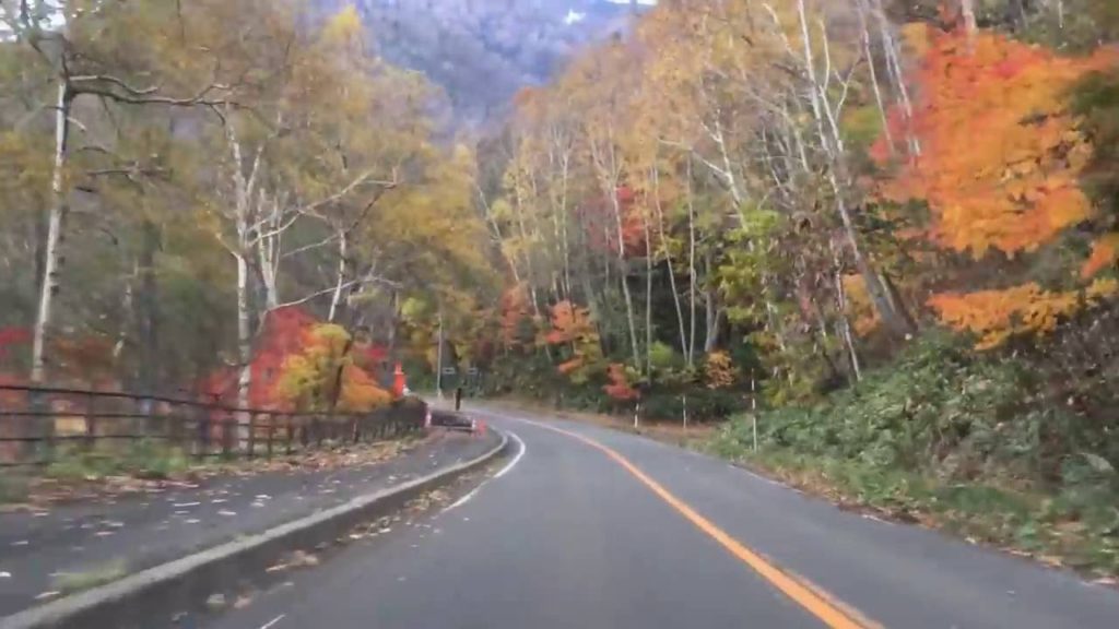 Autumn drive, Lake Shikotsu, Hokkaido, yellow & red leaves