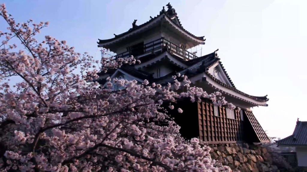 プロが撮る！ドローン空撮⑥ 浜松城の黒塗りの壁に映える桜｜Funmee!![ファンミー]