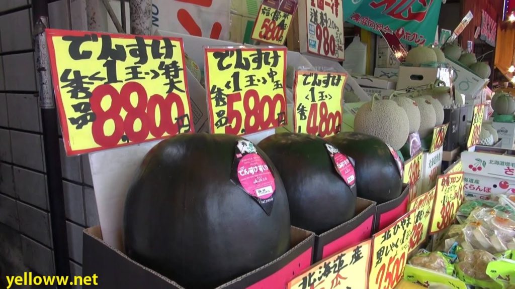 Eating Expensive Melons in Japan Eating Expensive Melons in Japan