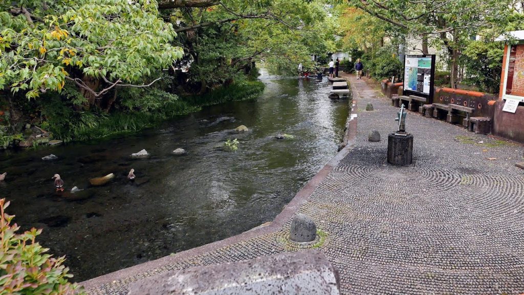 三島市「源兵衛川」を歩いて見ました。（上流側）2015