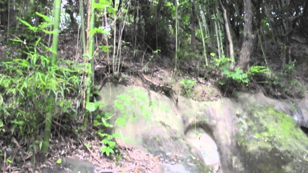 Ichigao yokoana. Aoba, Yokohama, Kanagawa Japan Ichigao yokoana. Aoba, Yokohama, Kanagawa Japan