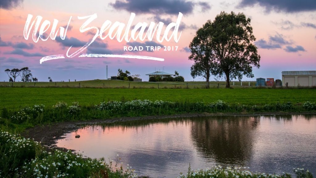 New Zealand Road Trip - Day 1 of 65 #VettasInNZ