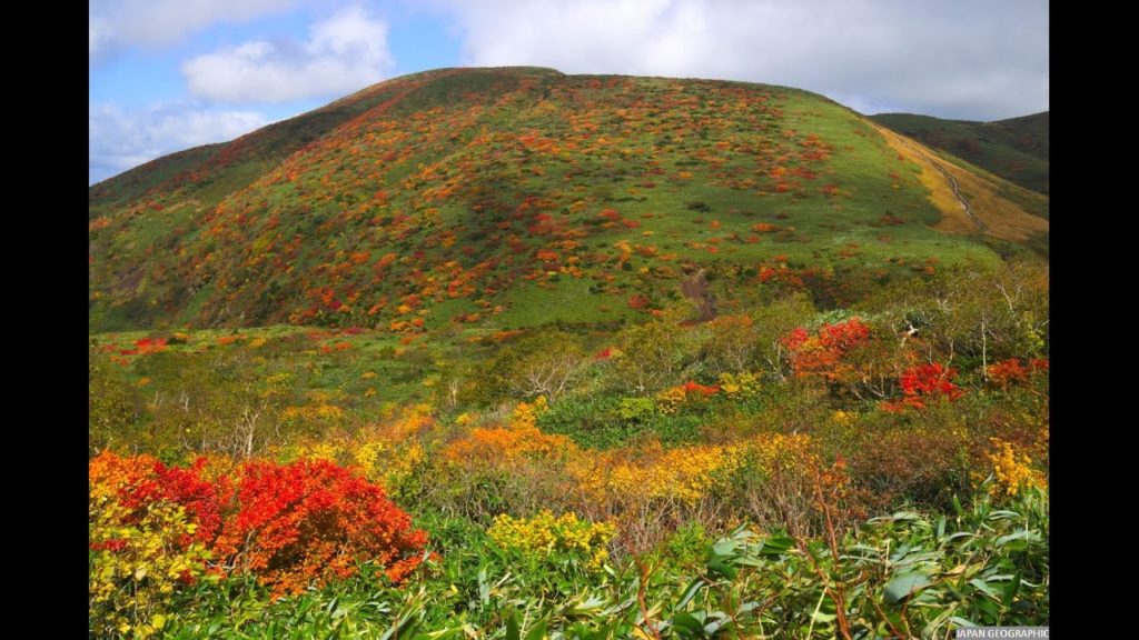 JG 4K 秋田駒ケ岳の紅葉 Red Leaves at Akita Komagatake